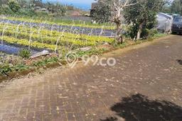 Kavling Tanah Dijual di Baturiti, Tabanan, Luas 1000m2 Area Strategis Kavling Tanah Dijual di Baturiti, Tabanan, Luas 1000m2 Area Strategis