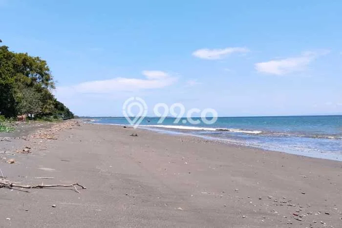 Tanah Dijual Lokasi Melaya, Jembrana Luas 2600m2 Legalitas Aman Tanah Dijual Lokasi Melaya, Jembrana Luas 2600m2 Legalitas Aman