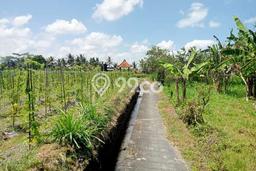 Tanah Kavling di Mengwi Dijual dengan Luas 2900m2 Tanah Kavling di Mengwi Dijual dengan Luas 2900m2