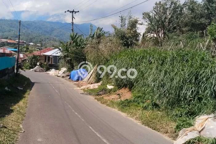 Kavling Tanah di Baturiti Dijual Luas 3200m2 Legalitas SHM Kavling Tanah di Baturiti Dijual Luas 3200m2 Legalitas SHM