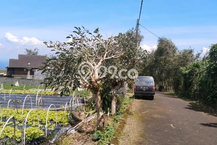 Kavling Tanah Dijual di Baturiti, Tabanan, Luas 1000m2 Area Strategis Kavling Tanah Dijual di Baturiti, Tabanan, Luas 1000m2 Area Strategis