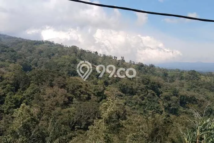 Tanah Strategis Dijual di Baturiti Tabanan 1800m2 Tanah Strategis Dijual di Baturiti Tabanan 1800m2