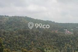 Untuk Dijual Tanah 2000m2 di Munduk, Buleleng Untuk Dijual Tanah 2000m2 di Munduk, Buleleng