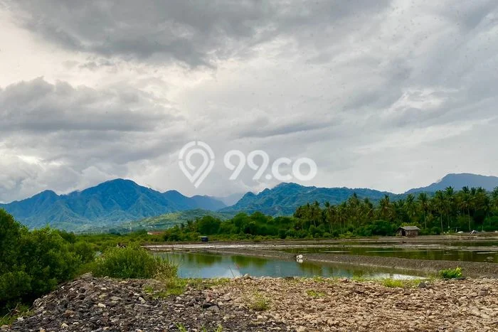 Lahan Dijual Lokasi Strategis di Buleleng dengan Luas 30000m2 Lahan Dijual Lokasi Strategis di Buleleng dengan Luas 30000m2