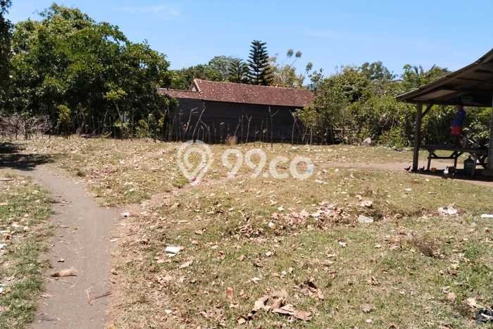Tanah di Melaya, Jembrana Luas 6500m2 Dijual Segera Tanah di Melaya, Jembrana Luas 6500m2 Dijual Segera