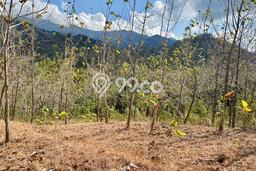 Lahan Strategis di Gerokgak Dijual dengan Luas 22500m2 Lahan Strategis di Gerokgak Dijual dengan Luas 22500m2