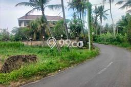 Tanah Kavling Dijual di Pering, Gianyar dengan Luas Tanah 1000m2 Tanah Kavling Dijual di Pering, Gianyar dengan Luas Tanah 1000m2