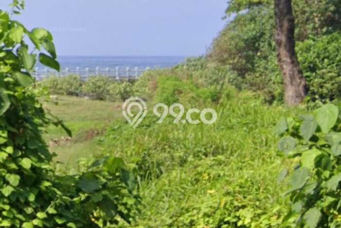Tanah Kawasan Ketewel, Luas 1515m², Status Hak Milik, Akses Ketewel, Gianyar, Gianyar Tanah Kawasan Ketewel, Luas 1515m², Status Hak Milik, Akses Ketewel, Gianyar, Gianyar