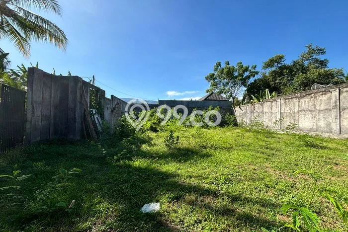 Tanah Dijual di Buleleng Seluas 1000m2 Strategis Tanah Dijual di Buleleng Seluas 1000m2 Strategis