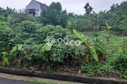 Tanah Kavling Dijual di Bintaro, Tangerang Selatan dengan Luas Tanah 1000m2 Tanah Kavling Dijual di Bintaro, Tangerang Selatan dengan Luas Tanah 1000m2