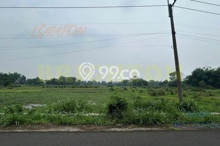 Tanah Dijual Lokasi Sukorejo, Pasuruan Luas 14326m2 Legalitas Aman Tanah Dijual Lokasi Sukorejo, Pasuruan Luas 14326m2 Legalitas Aman
