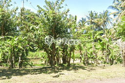 Untuk Dijual Tanah 1500m2 di Medahan, Gianyar Untuk Dijual Tanah 1500m2 di Medahan, Gianyar