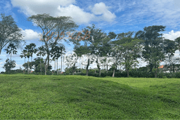 Tanah untuk Dijual Lokasi Citraland, Surabaya Luas 478m2 - Tanah untuk Dijual Lokasi Citraland, Surabaya Luas 478m2 -