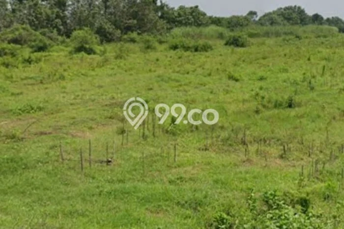 Tanah Kosong Dijual di Jombang dengan Area 10000m2 Tanah Kosong Dijual di Jombang dengan Area 10000m2