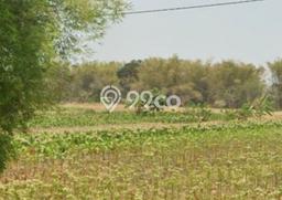 Tanah Kosong Dijual di Mojokerto dengan Area 150000m2 Tanah Kosong Dijual di Mojokerto dengan Area 150000m2