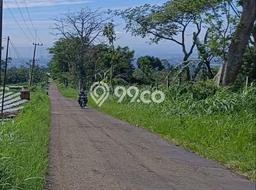 Jarang Ada! Tanah di Singosari Punya Luas 180000m2 SHM Jarang Ada! Tanah di Singosari Punya Luas 180000m2 SHM