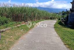 Tanah di Wagir, Malang Luas 35000m2 Dijual Segera Tanah di Wagir, Malang Luas 35000m2 Dijual Segera
