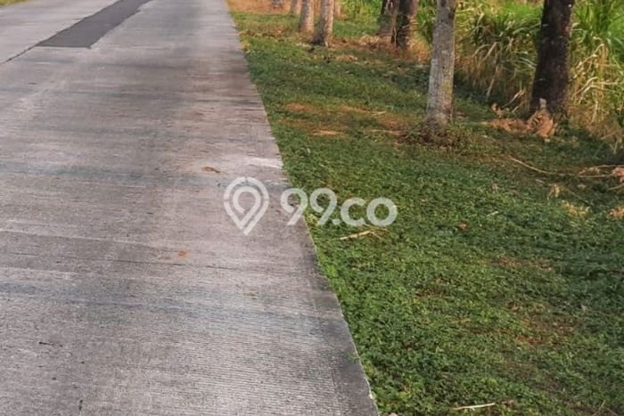 Tanah Kavling untuk Dijual di Kemlagi Mojokerto 50000m2 Tanah Kavling untuk Dijual di Kemlagi Mojokerto 50000m2