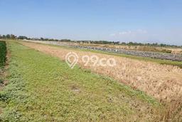 Kavling Tanah untuk Dijual di Gresik Kota, Gresik, Luas 1400m2 Kavling Tanah untuk Dijual di Gresik Kota, Gresik, Luas 1400m2