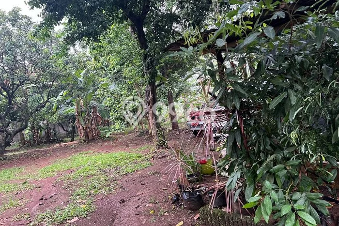 Tanah Kavling Dijual di Tangerang dengan Spesifikasi 2630m2 Tanah Kavling Dijual di Tangerang dengan Spesifikasi 2630m2