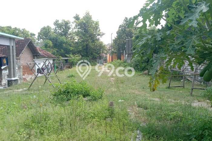 Tanah Strategis Dijual di Rembang Rembang 523m2 Tanah Strategis Dijual di Rembang Rembang 523m2