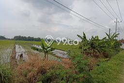 Tanah Dijual Lokasi Gempol, Pasuruan Luas 10620m2 Legalitas Aman Tanah Dijual Lokasi Gempol, Pasuruan Luas 10620m2 Legalitas Aman