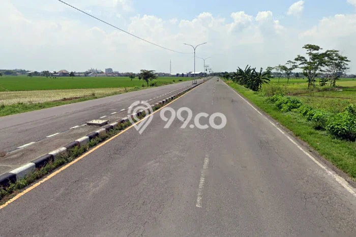 Tanah Strategis Dijual di Mojoagung Jombang 1905m2 Tanah Strategis Dijual di Mojoagung Jombang 1905m2