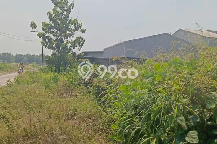 Disewakan Tanah Seluas 3300m2 di Wringinanom, Gresik Disewakan Tanah Seluas 3300m2 di Wringinanom, Gresik