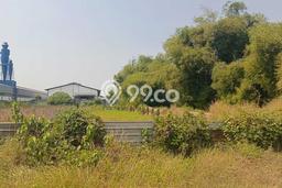 Disewakan Tanah Seluas 3300m2 di Wringinanom, Gresik Disewakan Tanah Seluas 3300m2 di Wringinanom, Gresik