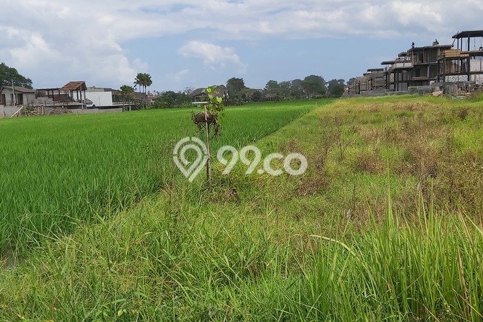 Disewakan Tanah di Badung, Luas 4000m2 Area Berkembang Disewakan Tanah di Badung, Luas 4000m2 Area Berkembang