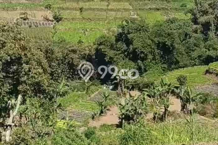 Jarang Ada! Tanah di Baturiti Punya Luas 27900m2 SHM Jarang Ada! Tanah di Baturiti Punya Luas 27900m2 SHM
