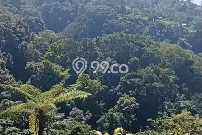 Jarang Ada! Tanah di Baturiti Punya Luas 27900m2 SHM Jarang Ada! Tanah di Baturiti Punya Luas 27900m2 SHM