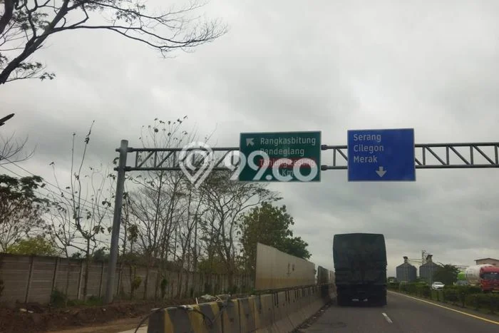 Tanah di Panimbang, Pandeglang Luas 50000m2 Dijual Segera Tanah di Panimbang, Pandeglang Luas 50000m2 Dijual Segera