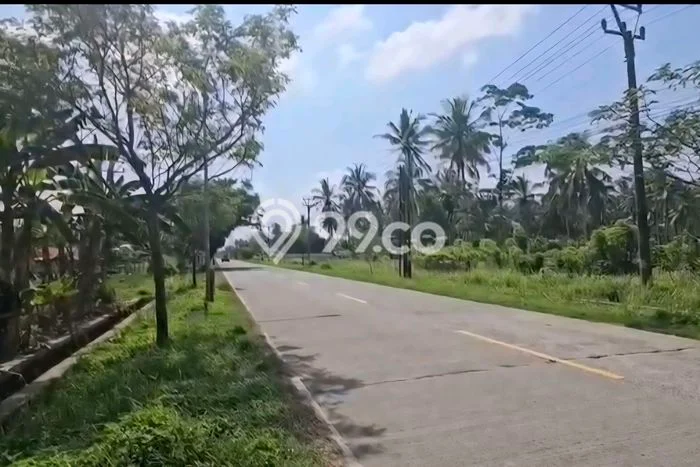 Dijual Tanah di Pandeglang Pandeglang Luas 41666m2 SHM Dijual Tanah di Pandeglang Pandeglang Luas 41666m2 SHM