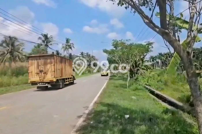 Dijual Tanah di Pandeglang Pandeglang Luas 41666m2 SHM Dijual Tanah di Pandeglang Pandeglang Luas 41666m2 SHM