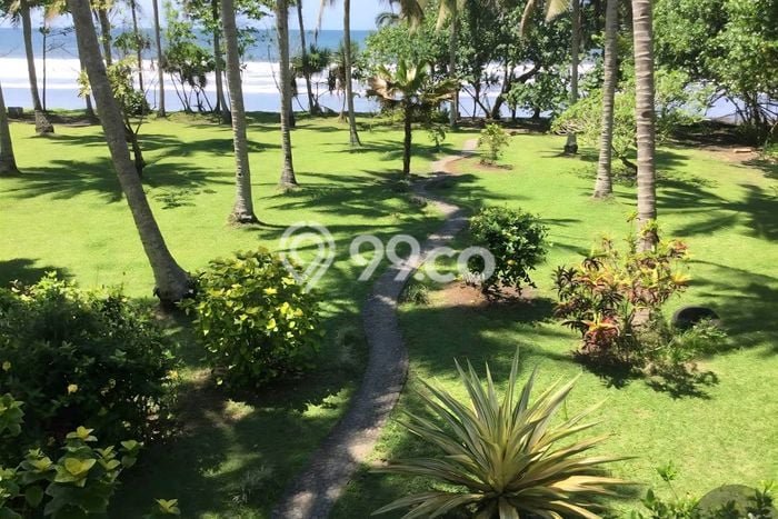 Tanah Dijual Lokasi Pekutatan, Jembrana Luas 5650m2 Legalitas Aman Tanah Dijual Lokasi Pekutatan, Jembrana Luas 5650m2 Legalitas Aman