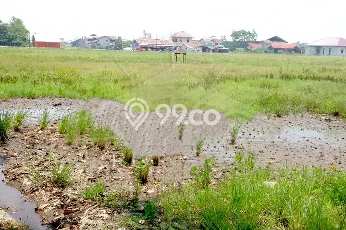 Kavling Tanah di Pontianak Tenggara Dijual Luas 2872m2 Legalitas SHM Kavling Tanah di Pontianak Tenggara Dijual Luas 2872m2 Legalitas SHM