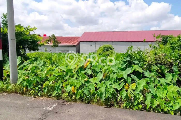 Tanah Strategis Dijual di Pontianak Tenggara Pontianak 600m2 Tanah Strategis Dijual di Pontianak Tenggara Pontianak 600m2