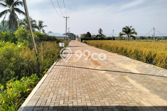 Hunian Terjangkau Dijual Area Pontianak Barat, Pontianak Harga Rp 182 Juta Hunian Terjangkau Dijual Area Pontianak Barat, Pontianak Harga Rp 182 Juta