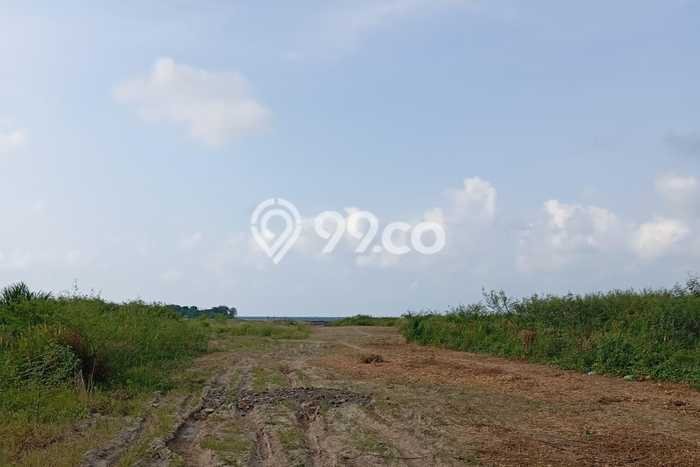Jarang Ada! Tanah di Semarang Barat Punya Luas 100000m2 - Jarang Ada! Tanah di Semarang Barat Punya Luas 100000m2 -