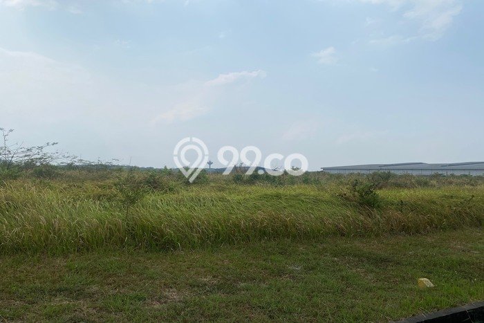 Kavling Tanah Dijual di Karawang Timur, Karawang, Luas 50000m2 Area Strategis Kavling Tanah Dijual di Karawang Timur, Karawang, Luas 50000m2 Area Strategis