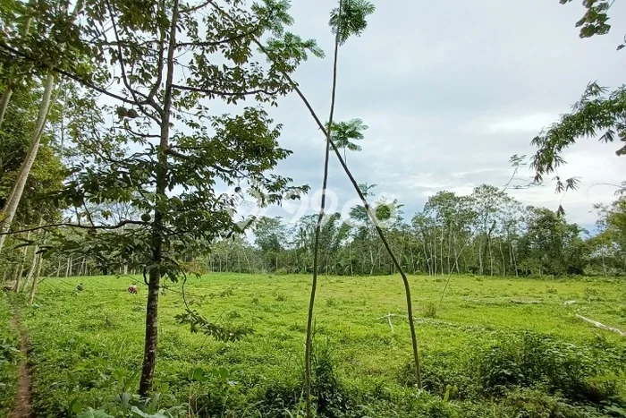 Kavling Tanah di Tajinan Dijual Luas 10608m2 Legalitas SHM Kavling Tanah di Tajinan Dijual Luas 10608m2 Legalitas SHM