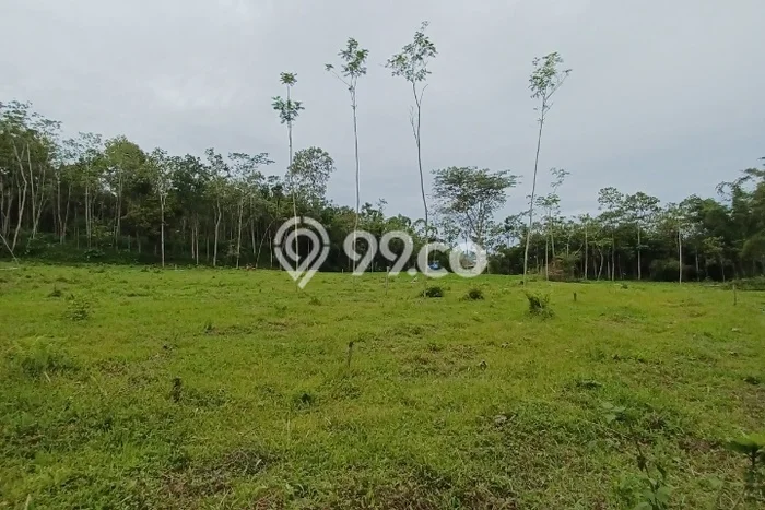 Kavling Tanah di Tajinan Dijual Luas 10608m2 Legalitas SHM Kavling Tanah di Tajinan Dijual Luas 10608m2 Legalitas SHM