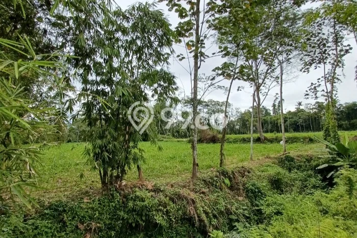 Kavling Tanah di Tajinan Dijual Luas 10608m2 Legalitas SHM Kavling Tanah di Tajinan Dijual Luas 10608m2 Legalitas SHM