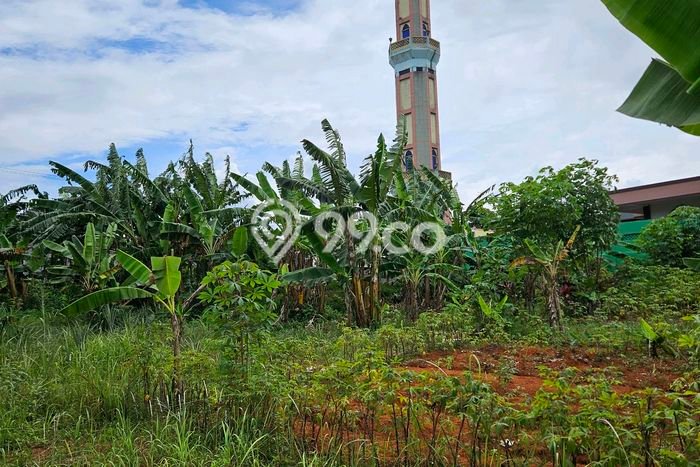 Tanah Dijual Lokasi Sawangan, Depok dengan Luas Tanah 1368m2 dan Status SHM Tanah Dijual Lokasi Sawangan, Depok dengan Luas Tanah 1368m2 dan Status SHM