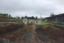 Tanah Kavling Dijual di Bandung dengan Spesifikasi 14000m2 Tanah Kavling Dijual di Bandung dengan Spesifikasi 14000m2