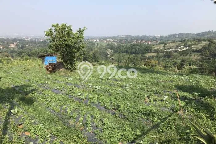 Tanah Strategis Dijual di Lembang Bandung Barat 4920m2 Tanah Strategis Dijual di Lembang Bandung Barat 4920m2