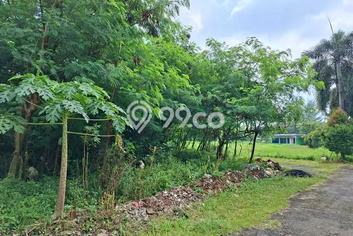 Lahan Dijual Lokasi Karang Tengah, Tangerang dengan Luas Tanah 9780m2 dan Status - Lahan Dijual Lokasi Karang Tengah, Tangerang dengan Luas Tanah 9780m2 dan Status -