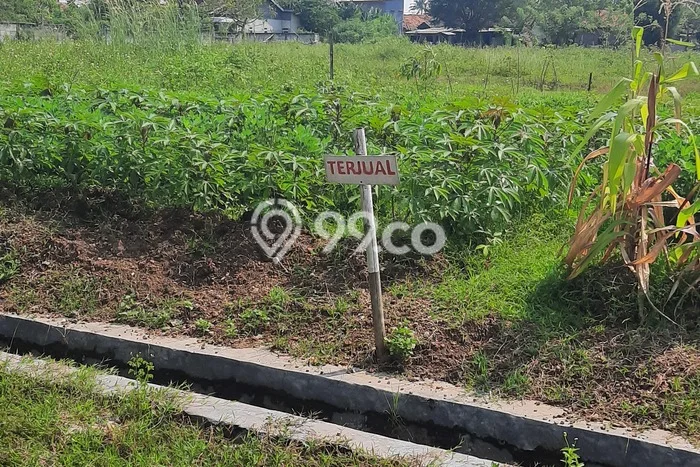 Tanah Komersial Dijual di Rajeg Tangerang 60m2 Tanah Komersial Dijual di Rajeg Tangerang 60m2