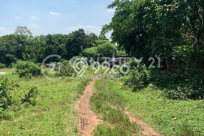 Tanah Kavling untuk Dijual di Serang Serang 9013m2 Tanah Kavling untuk Dijual di Serang Serang 9013m2